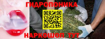 ГАЛЛЮЦИНОГЕННЫЕ ГРИБЫ Гусиноозёрск