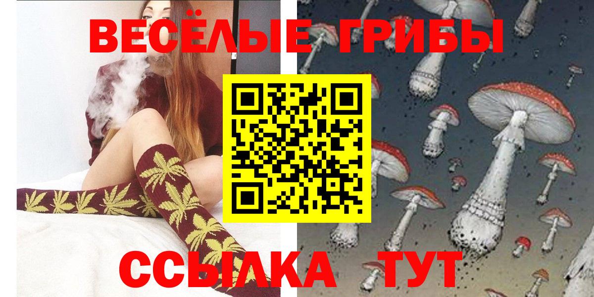 Галлюциногенные грибы GOLDEN TEACHER Мурино